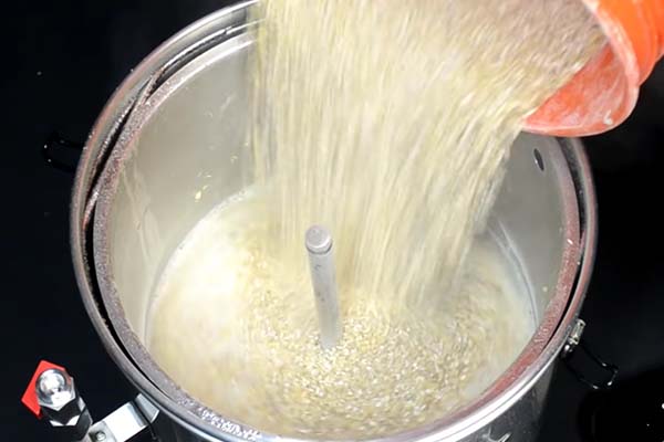 Strange Brew Grain Father Brewing System