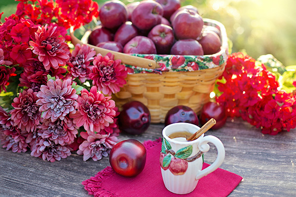 Choosing Ingredients For Hard Cider