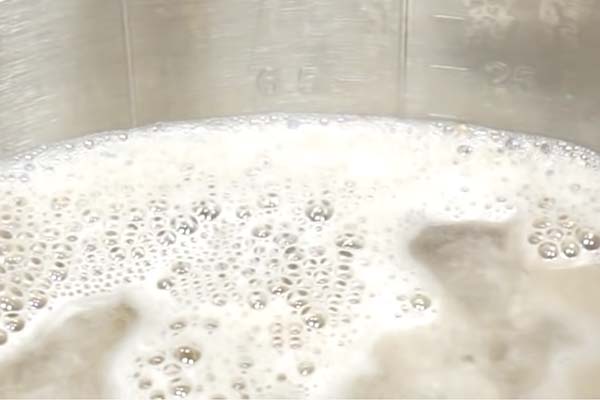 Mash in beer brewing process