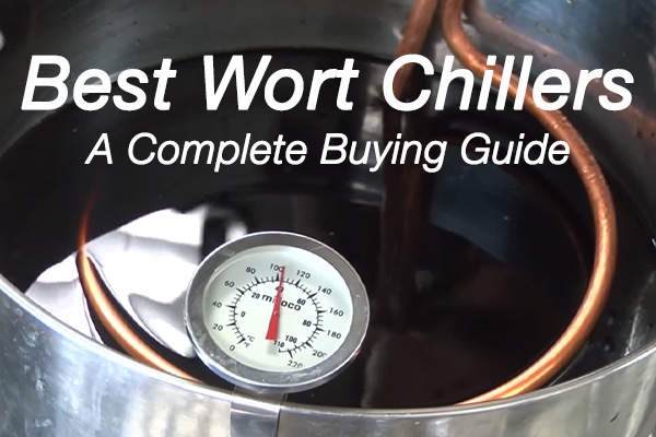 Best Wort Chiller – Definitive 2024 Buying Guide